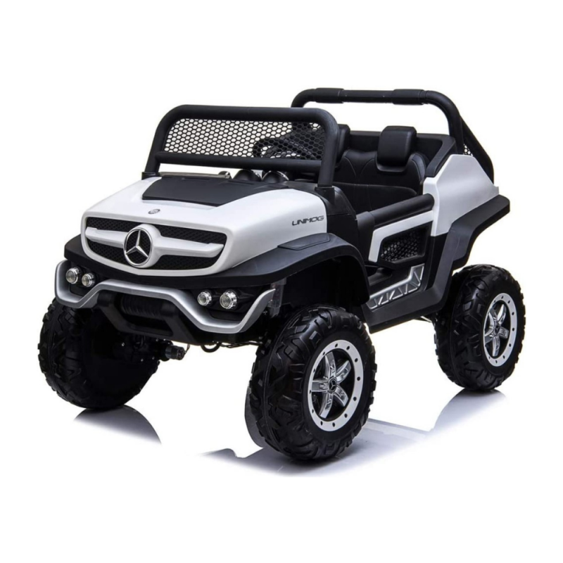 Auto Unimog 291